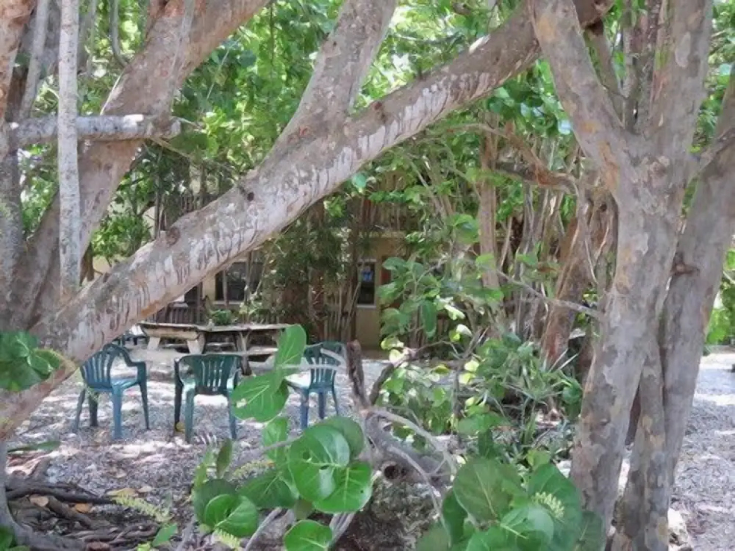 Ed & Ellens Lodging Key largo