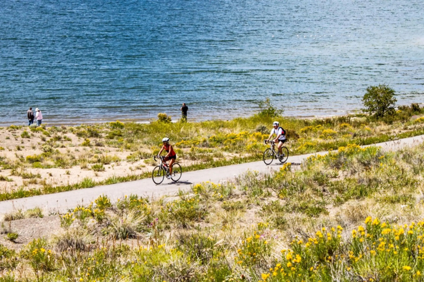 Timber Ridge #410 - Wildernest