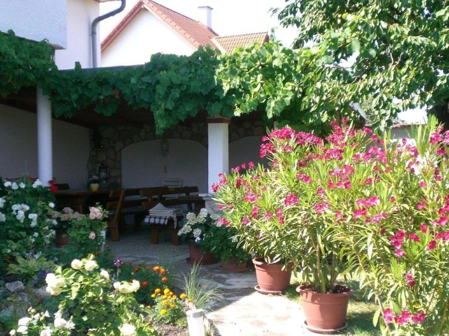 Ferienwohnungen Feldsee