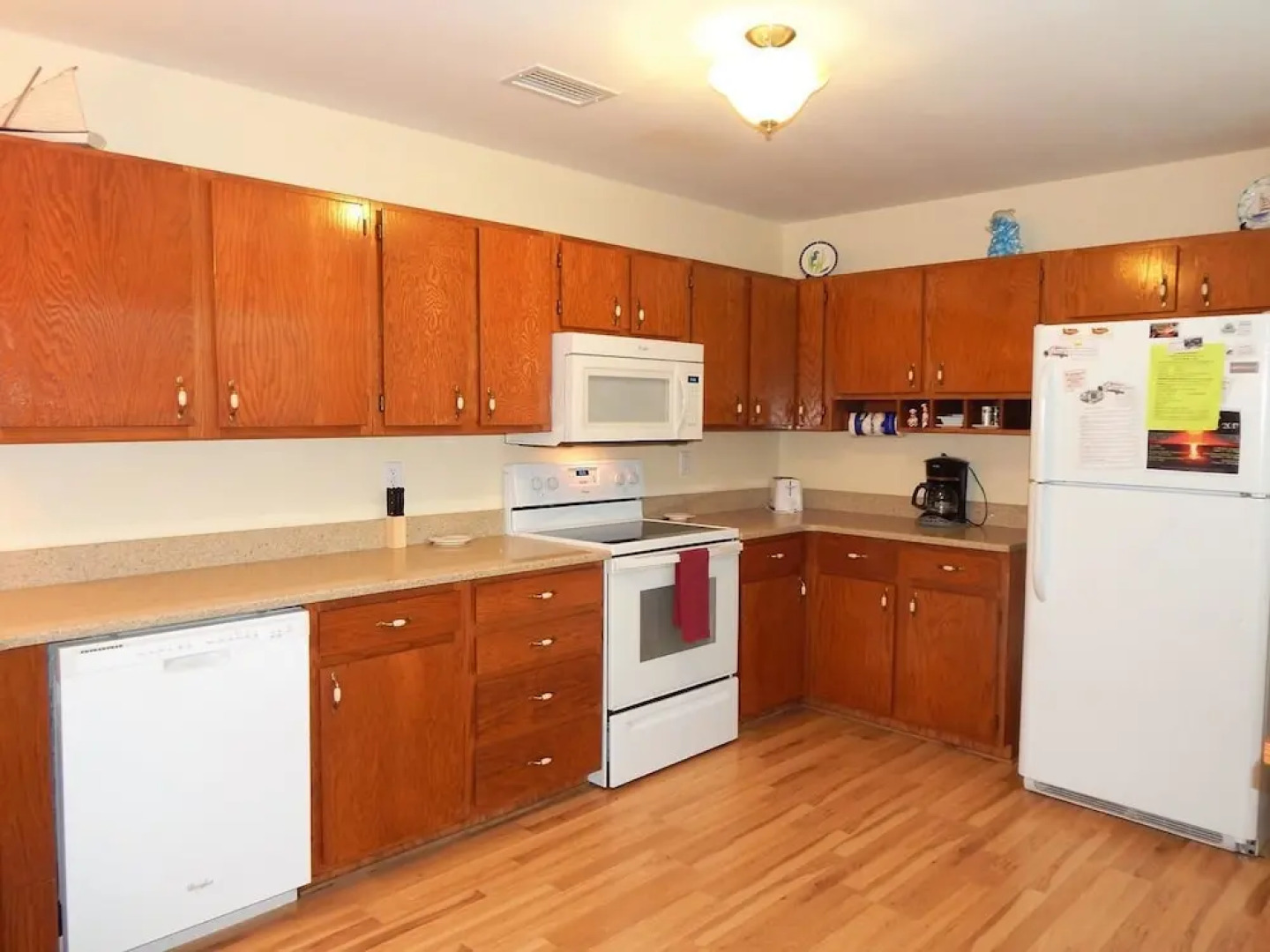 008 Sea Horsin Around