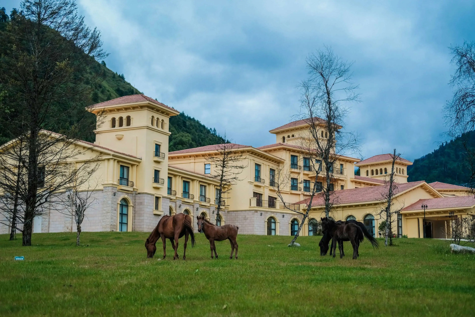 Howard Johnson by Wyndham Yaan Forest Resort