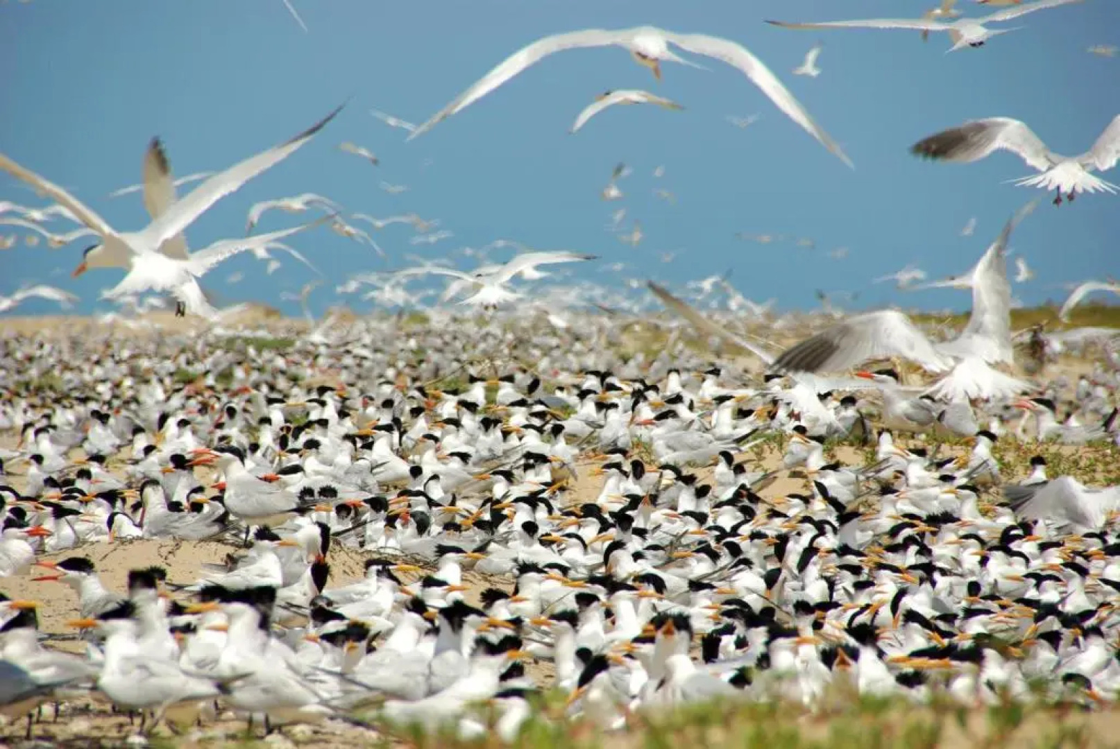 Bed and breakfast Keur Niaye