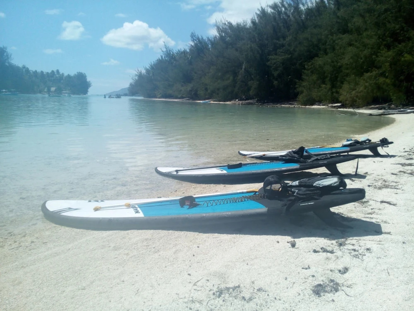 Fare Arana Moorea Guesthouse