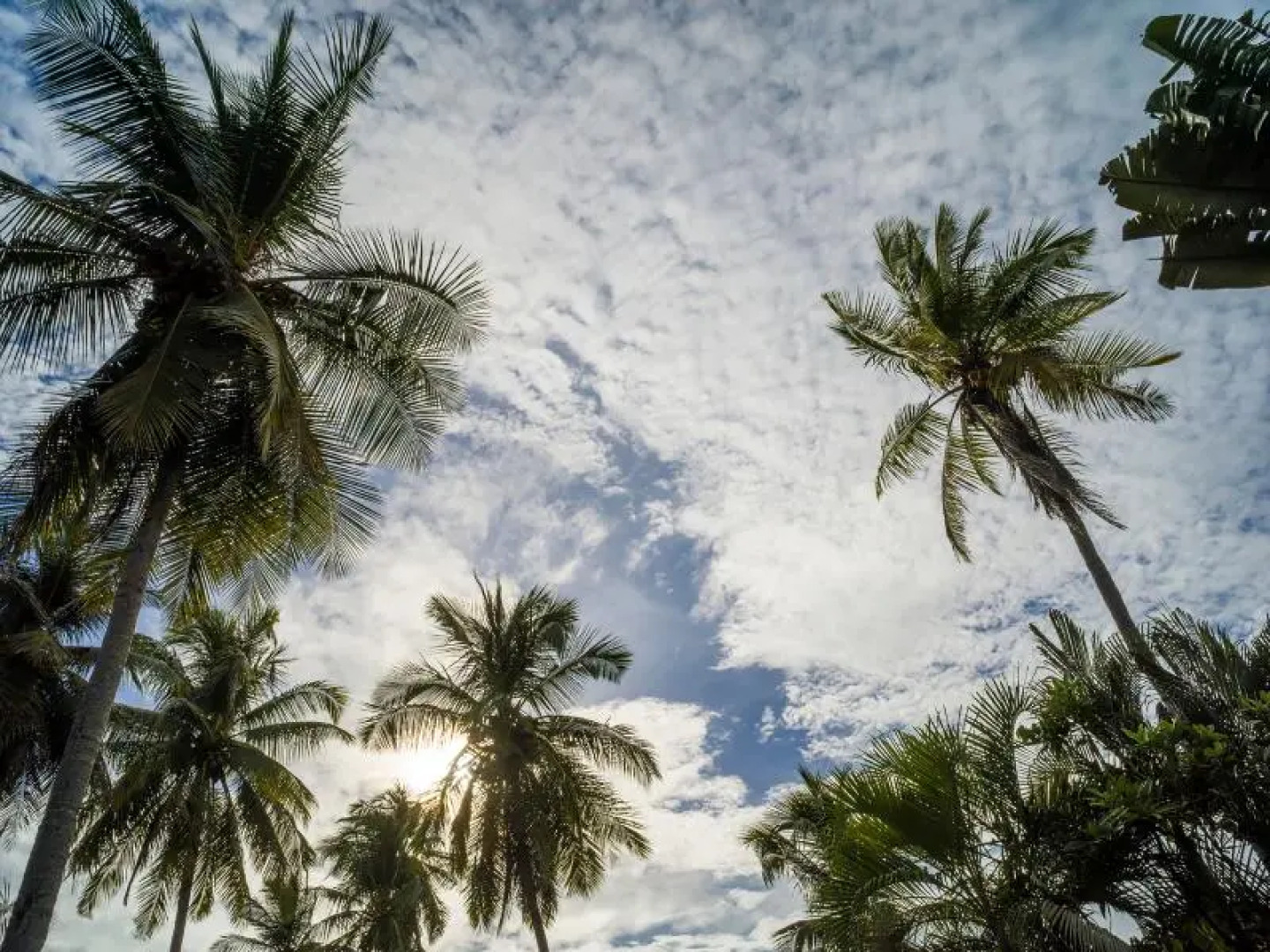 Sunset Del Mar Resort