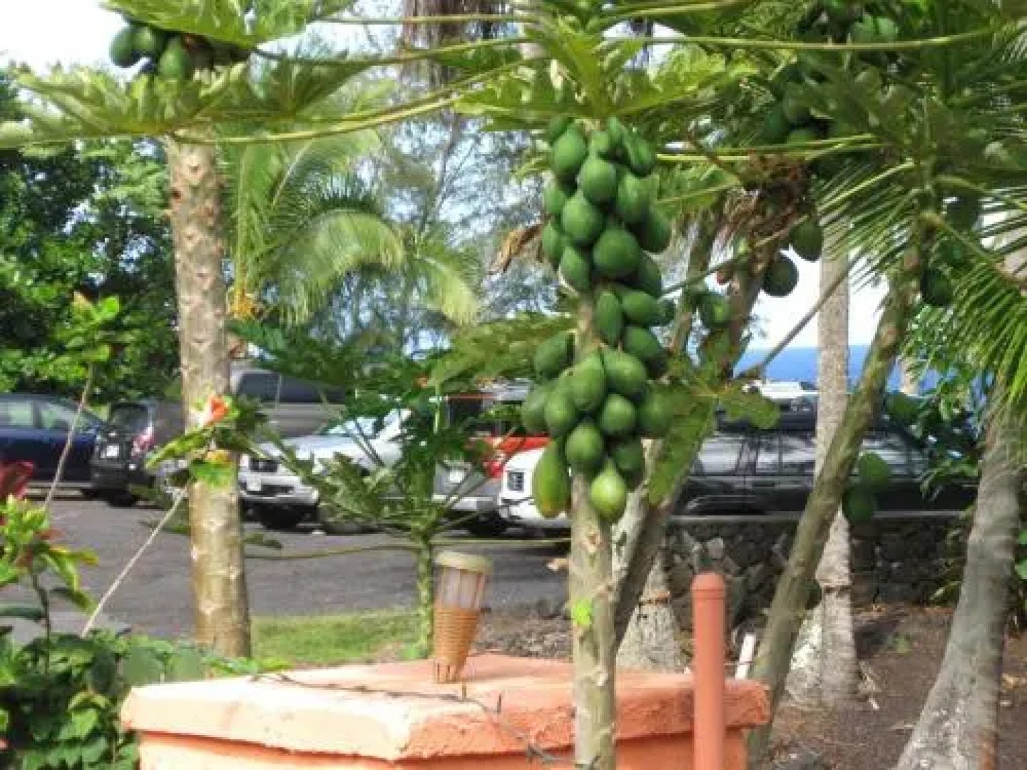 The Dolphin Cottage at Kehena Beach