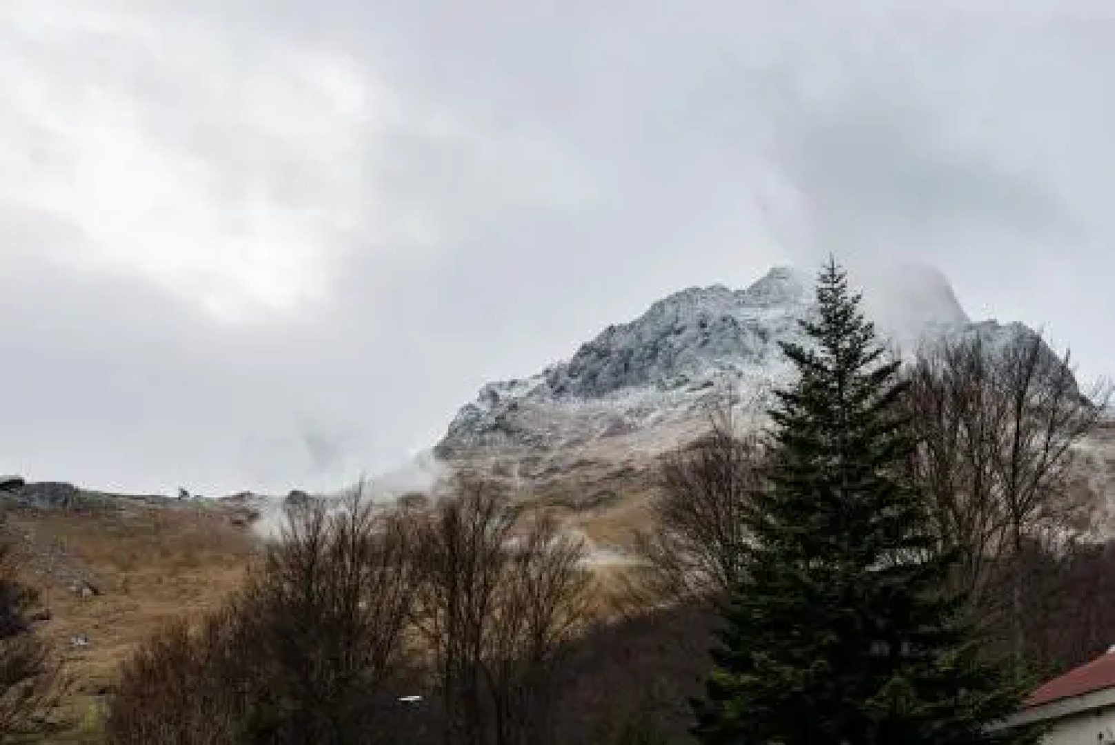 Residence Orso Bianco