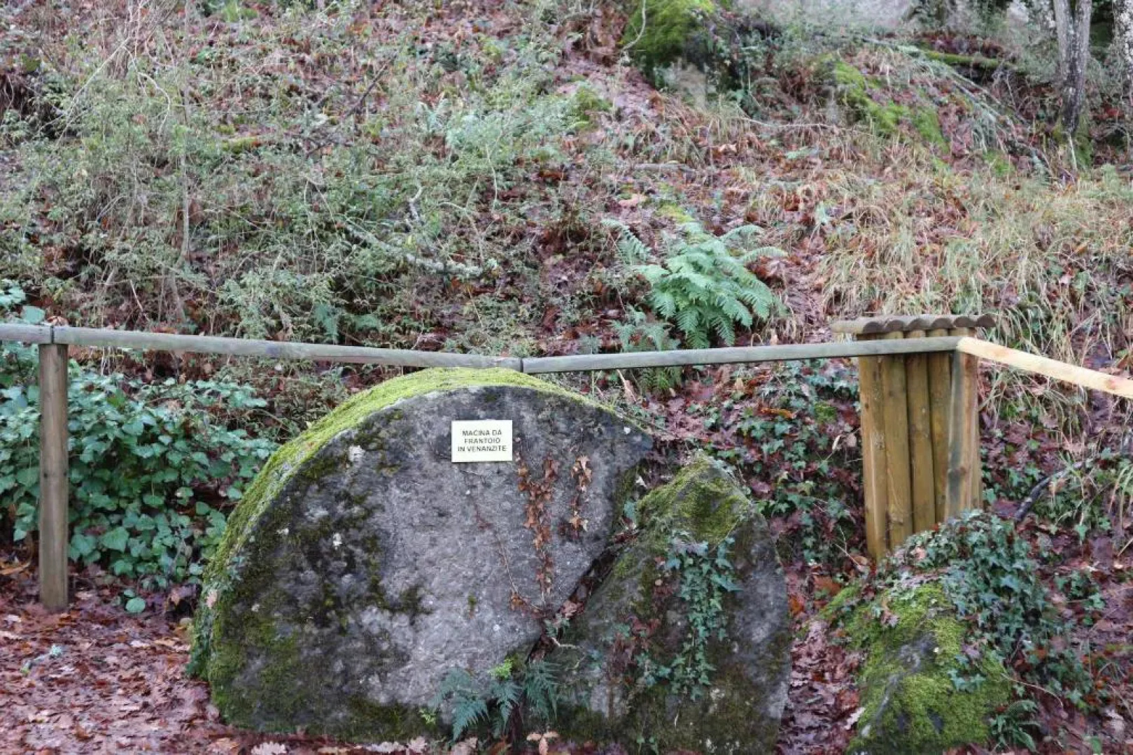 La terrazza sul vulcano