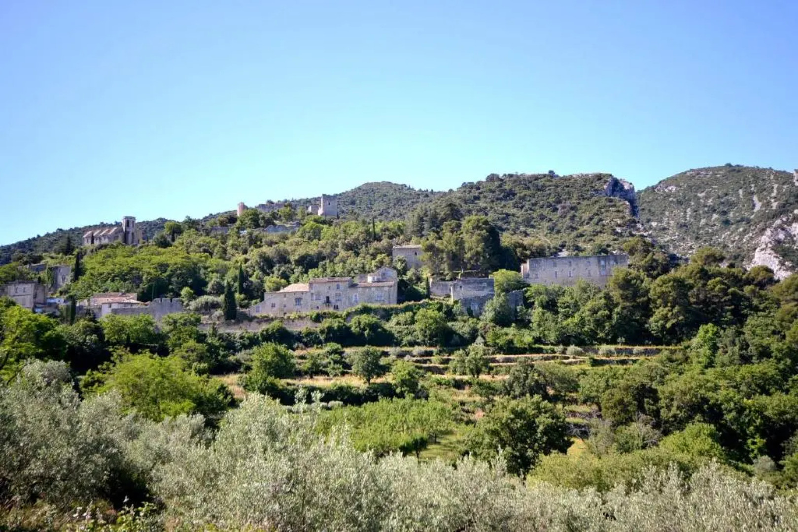 Le Champ des Oliviers