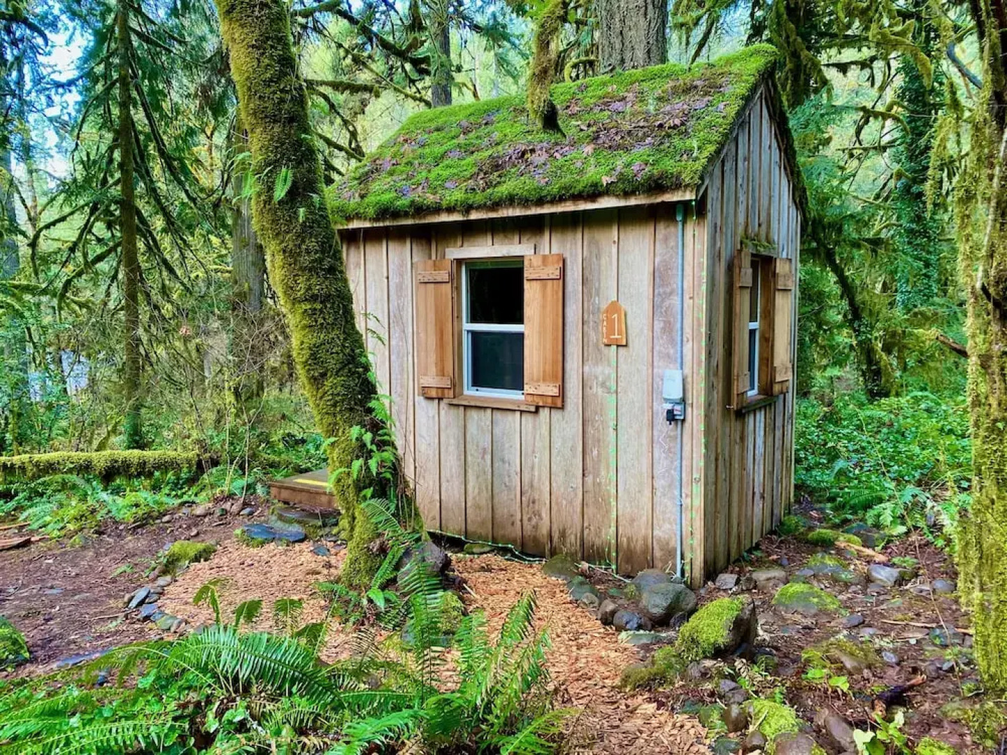 Trout Creek Wilderness Lodge