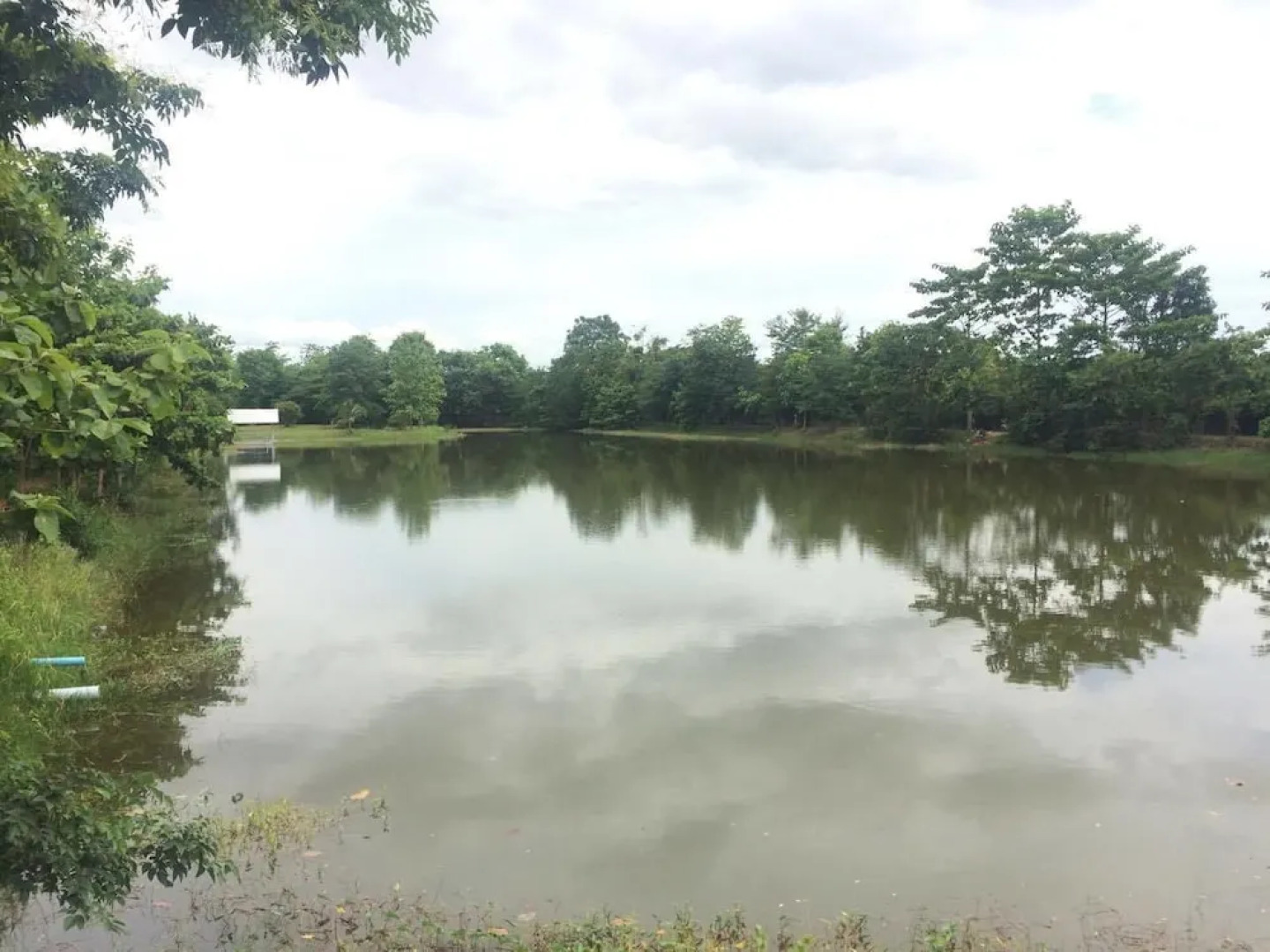 Baan Suan Chiva Saran