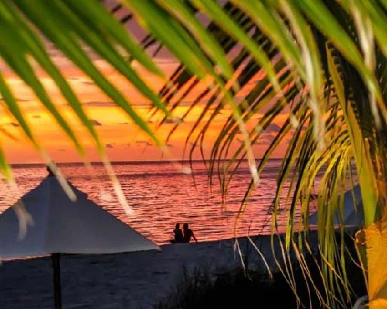 Gulf Pointe of Naples