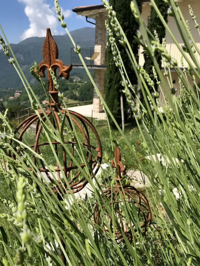 Borgo le Vigne - La Vinaccia