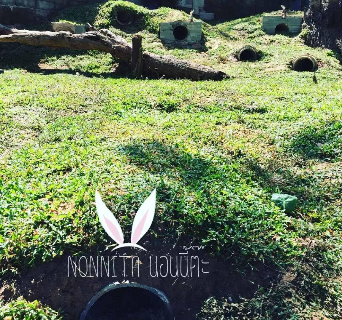 Phuket Nonnita Boutique Resort