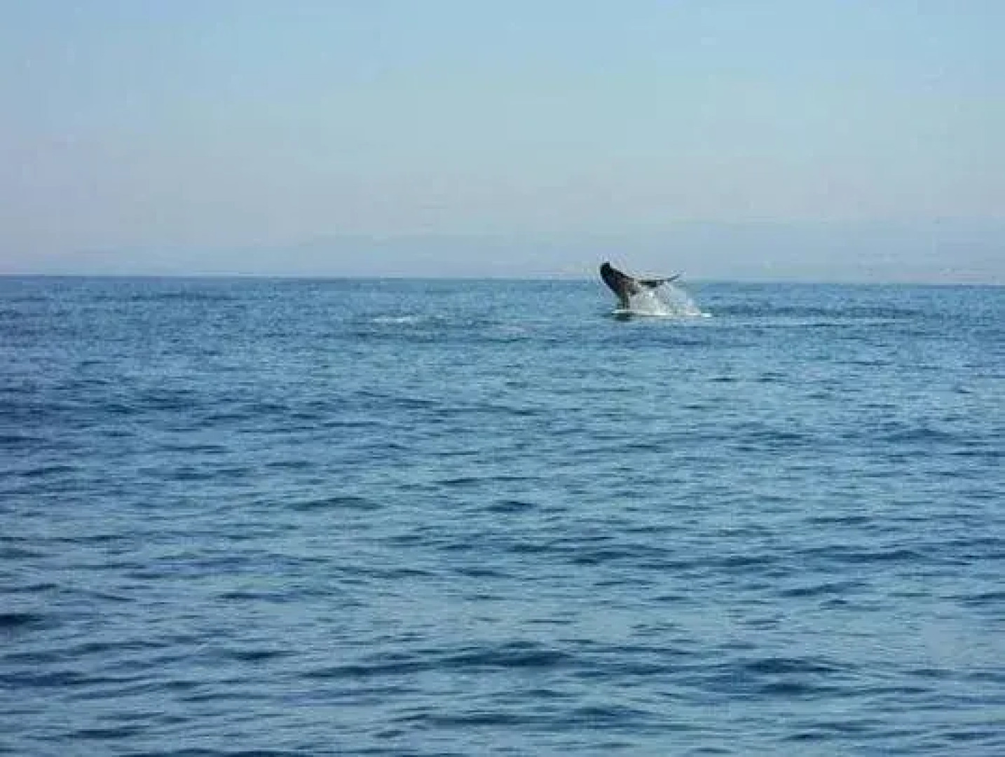 Celeste Del Mar Eco-Hotel