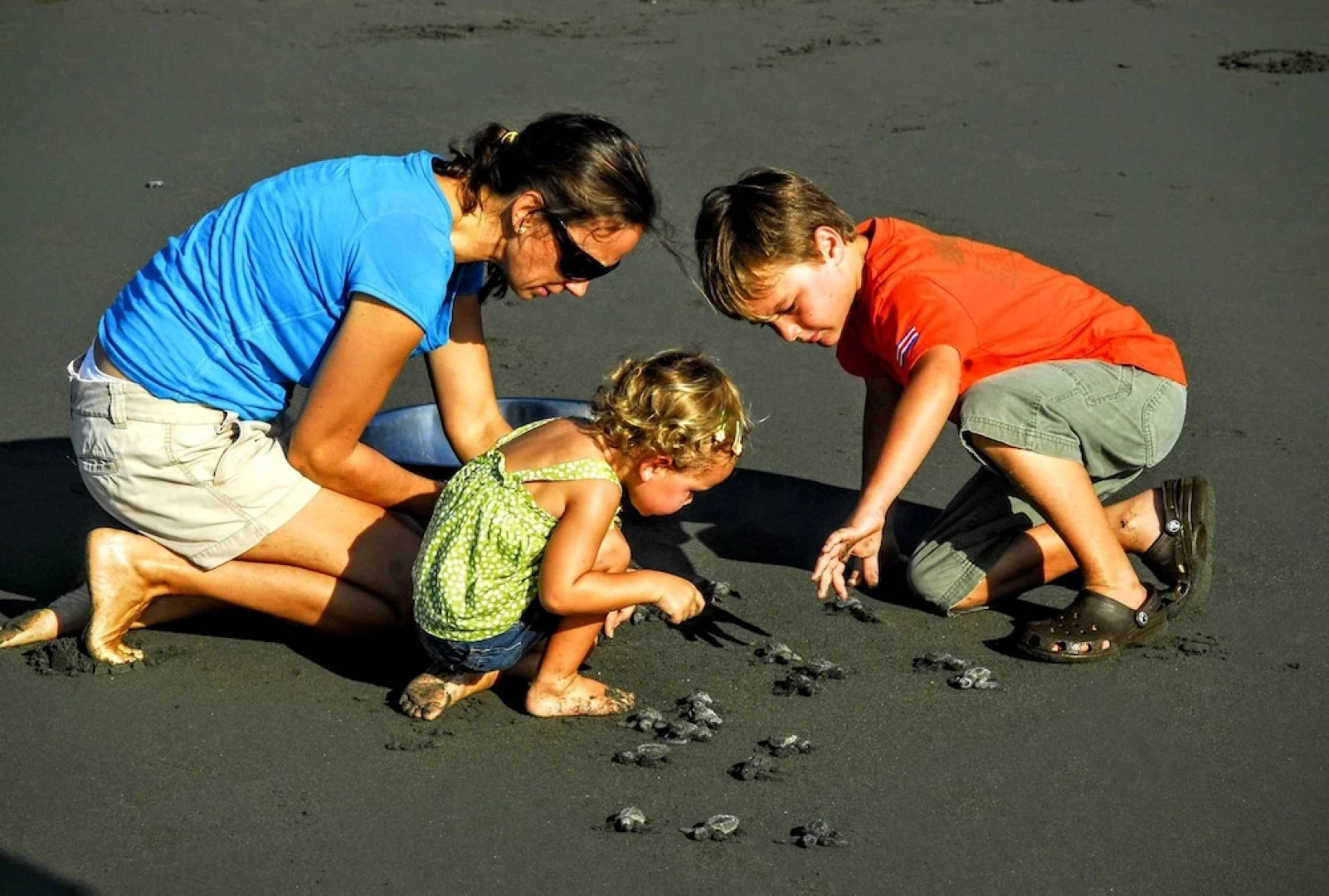 Iguana Lodge Beach Resort