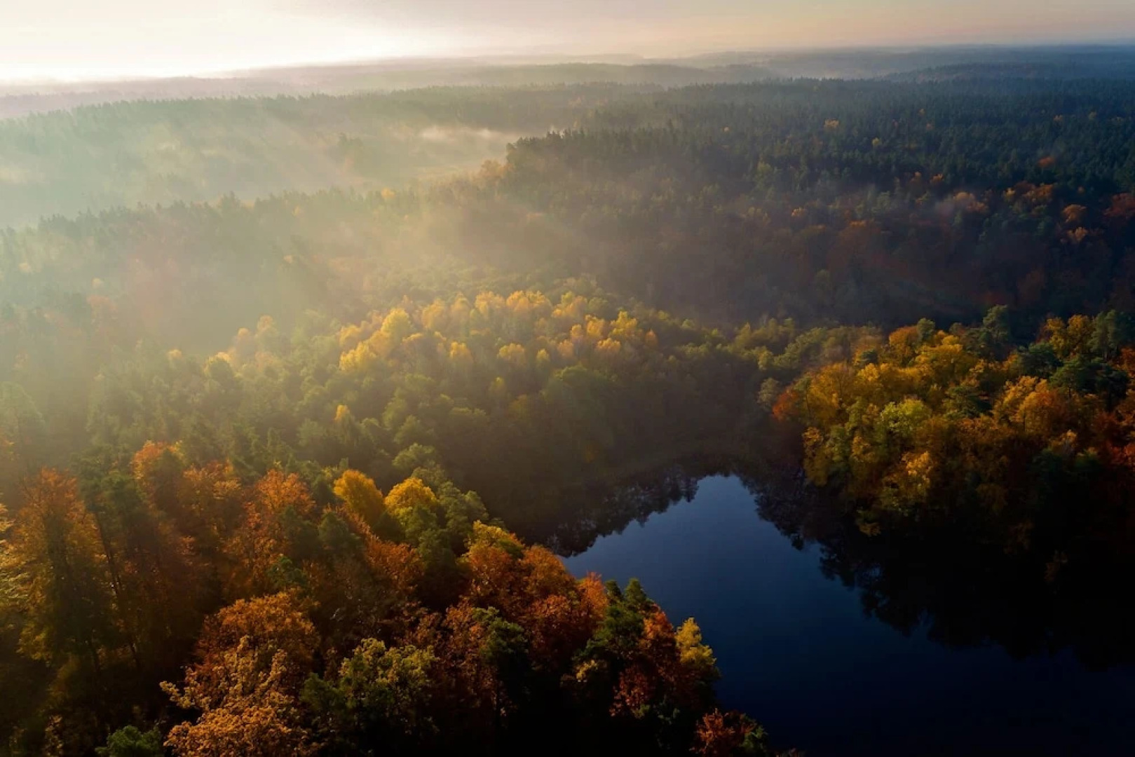 Winiec Family Houses