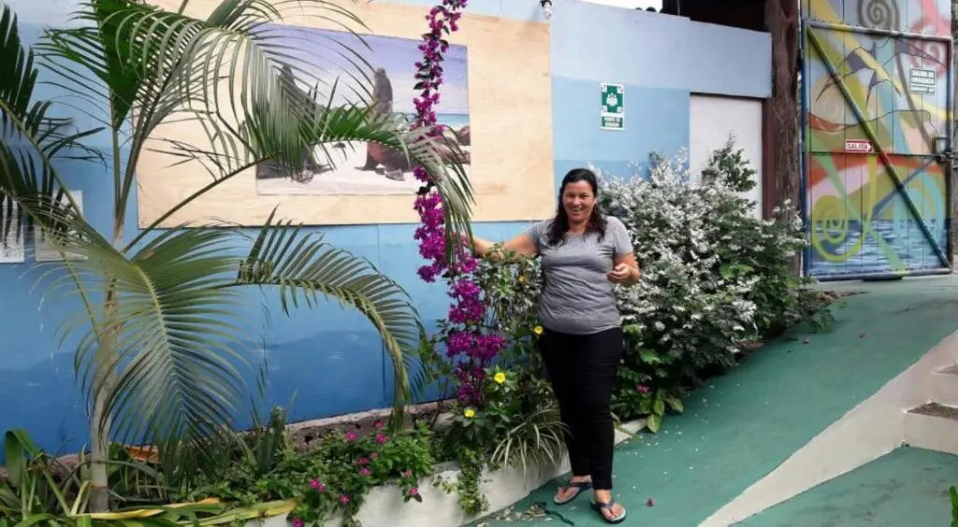 Nelyza's Suites & Adventure