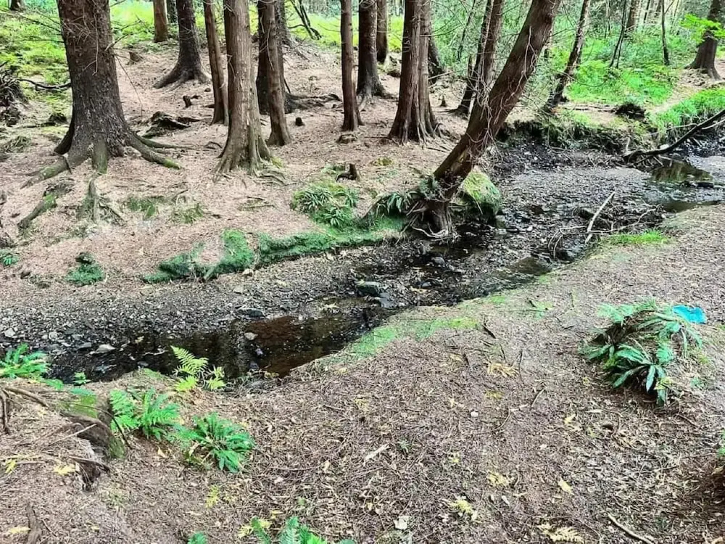 Hottub-nature-familyfriendly-wifi-parking