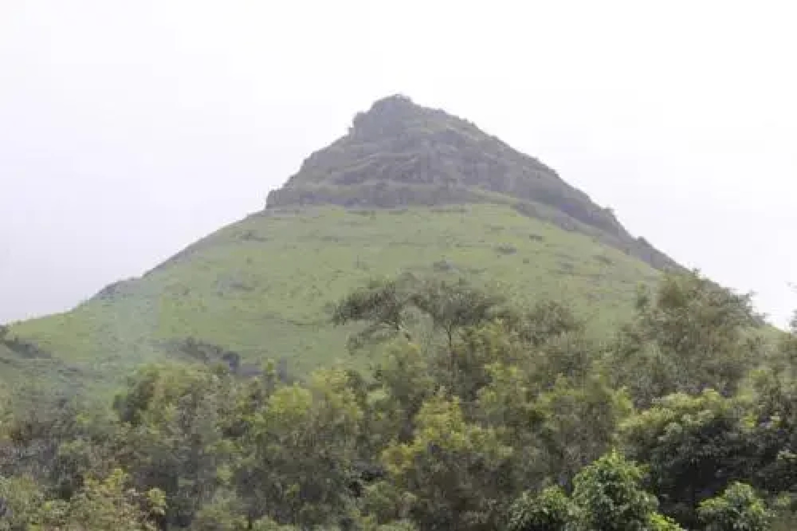 The Mellows Homestay