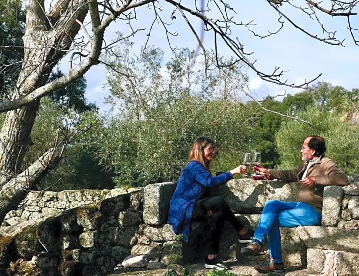 Quinta de São Pedro de Vir-a-Corça em Monsanto