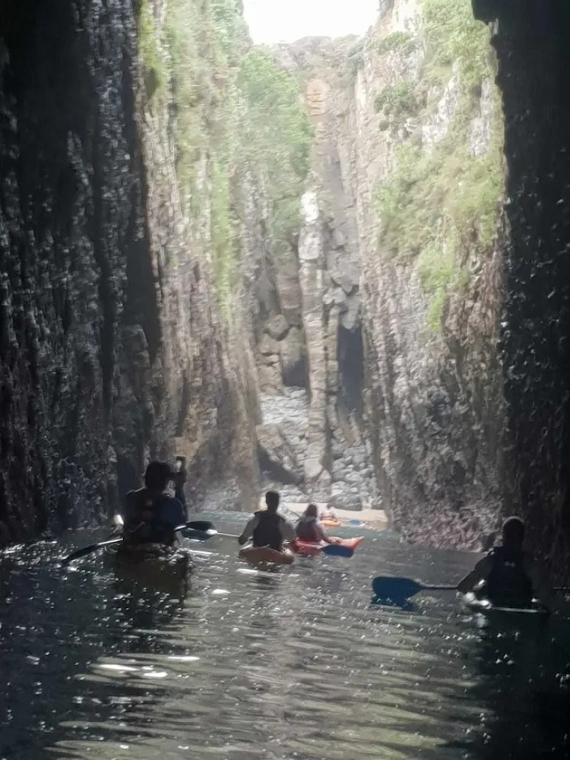 El Búho de la Remolina