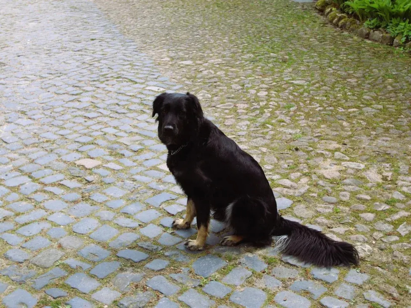 Ferienwohnung im Ferienhof, Dorfmark
