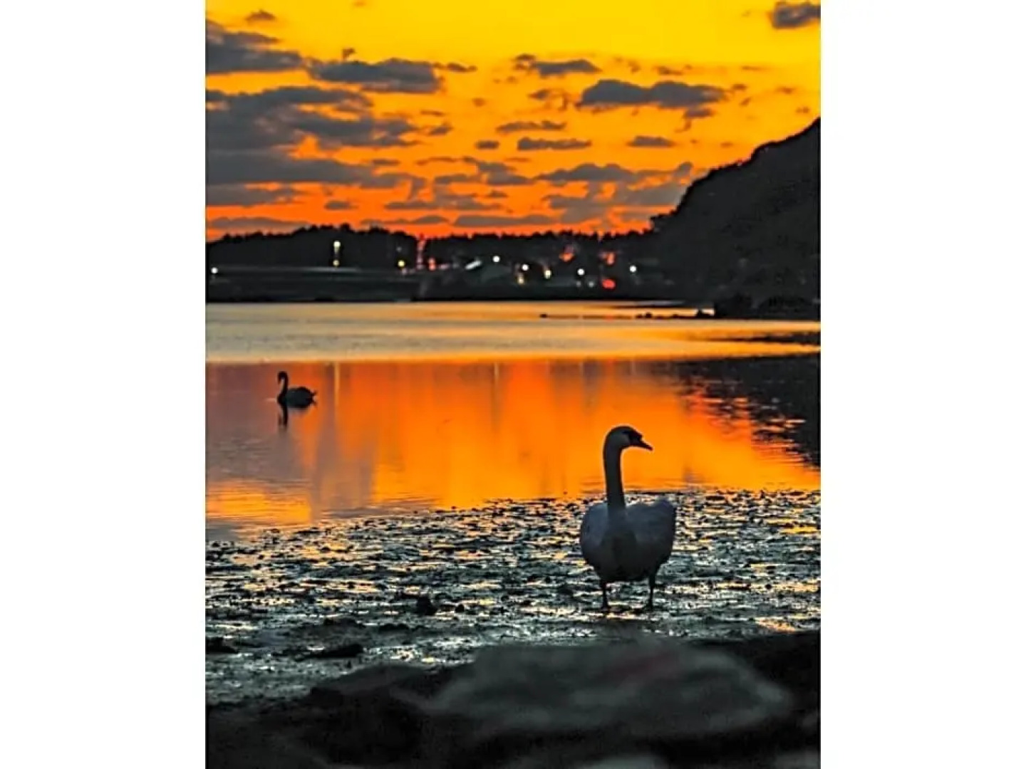 Yukinoura Guest House Moritaya - Vacation STAY 88418v