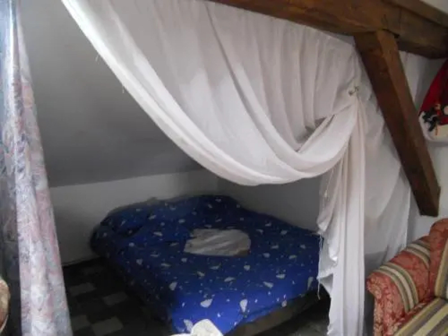 Cuibul Salamandrelor