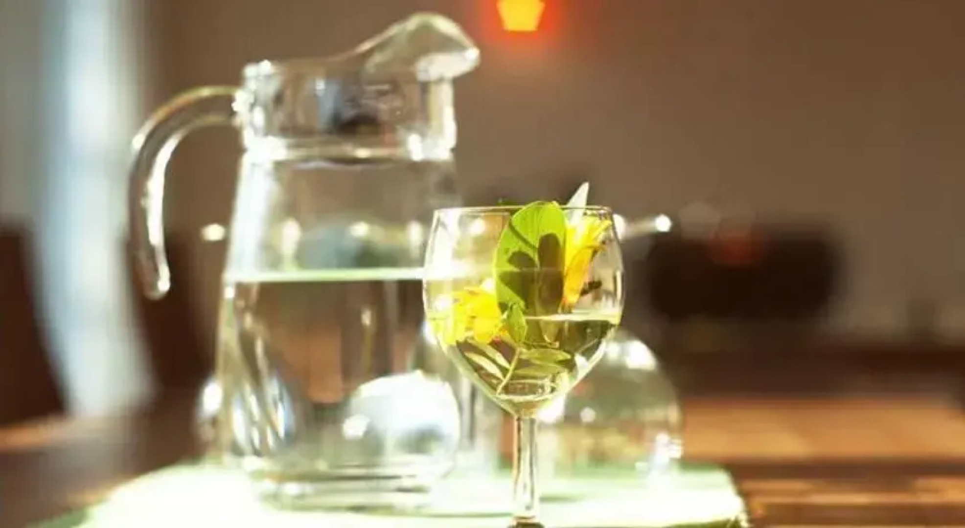 Bio-Hotel Lebensquelle