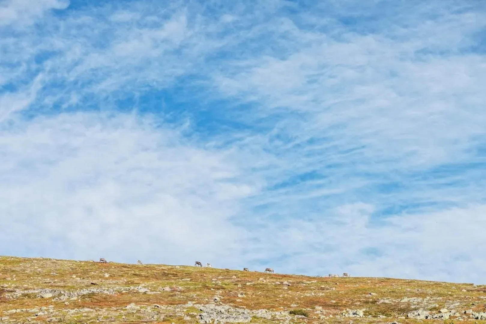 Storsätra Fjällhotell