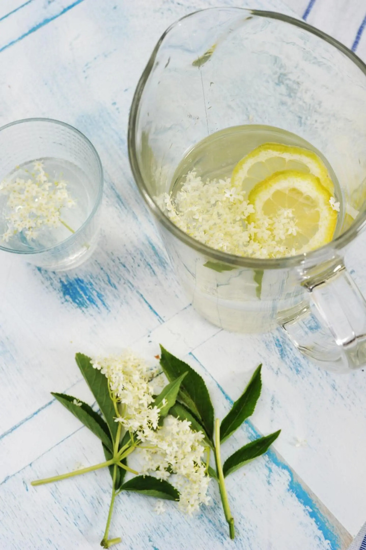 Turisticna Kmetija Seruga