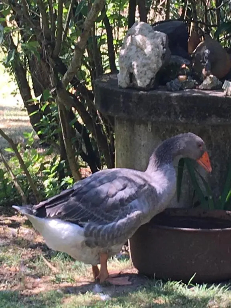 Zen au Marais Hammam Massages