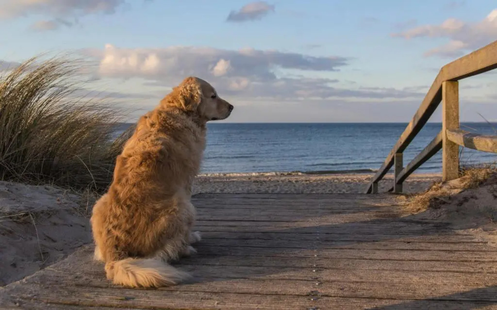 Carat Hotel Grömitz