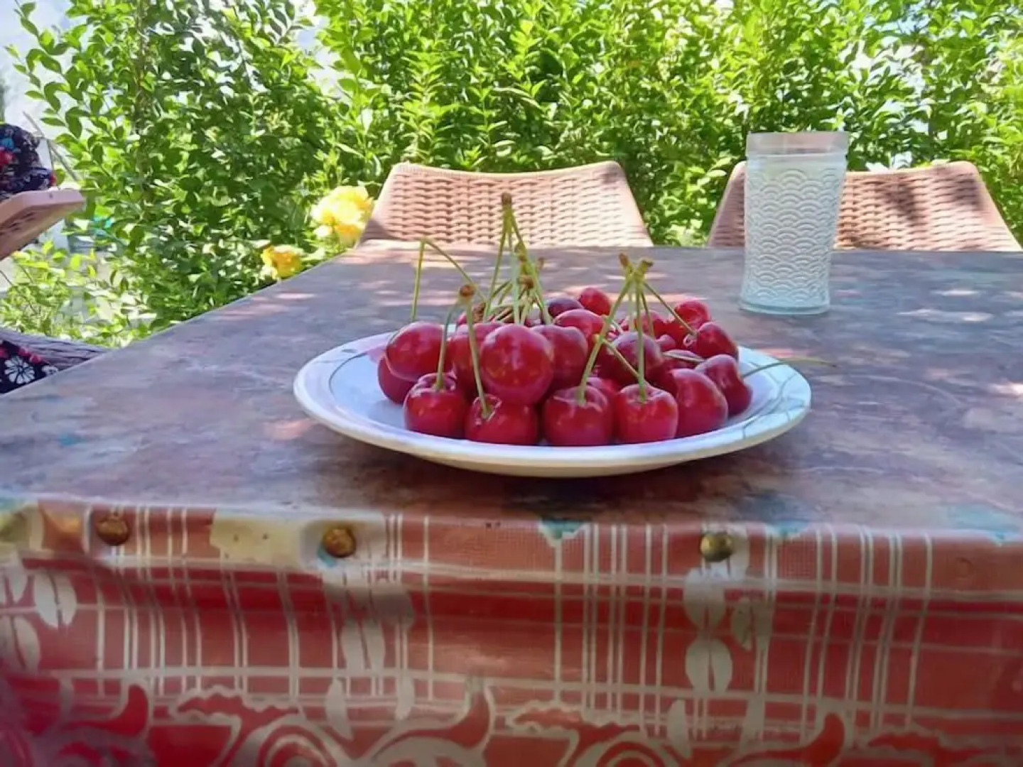 Shaheen Resort Hunza Karimabad