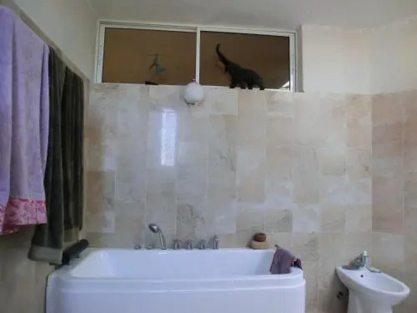 Chambres d´hotes La Romana