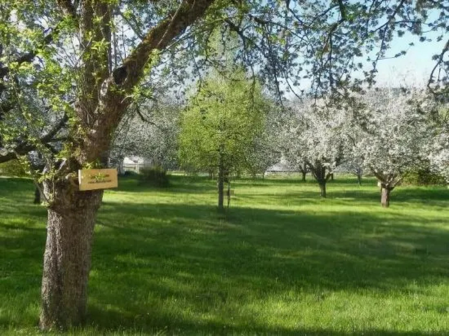 Gasthof Grüner Baum