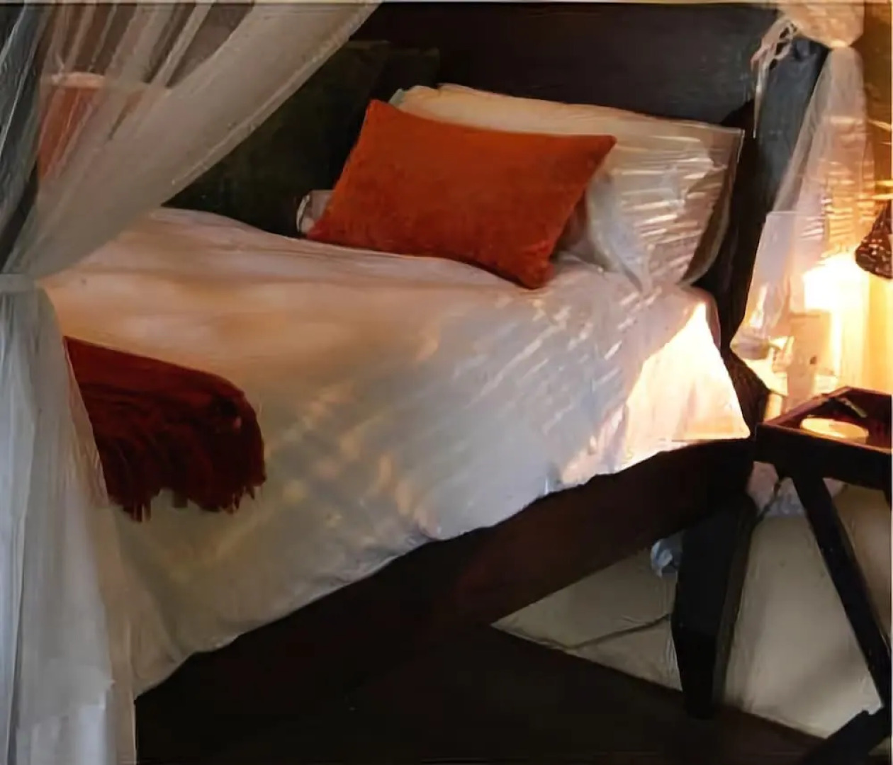 Plettenberg Bay Game Reserve
