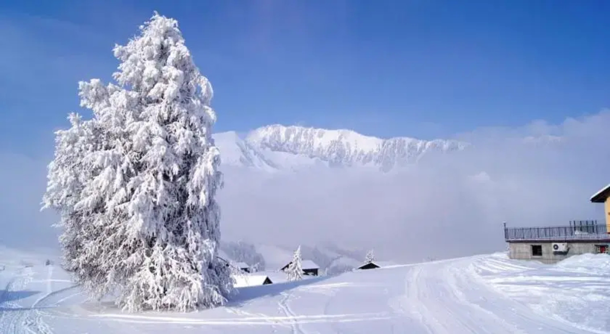 Berggasthaus Arviblick