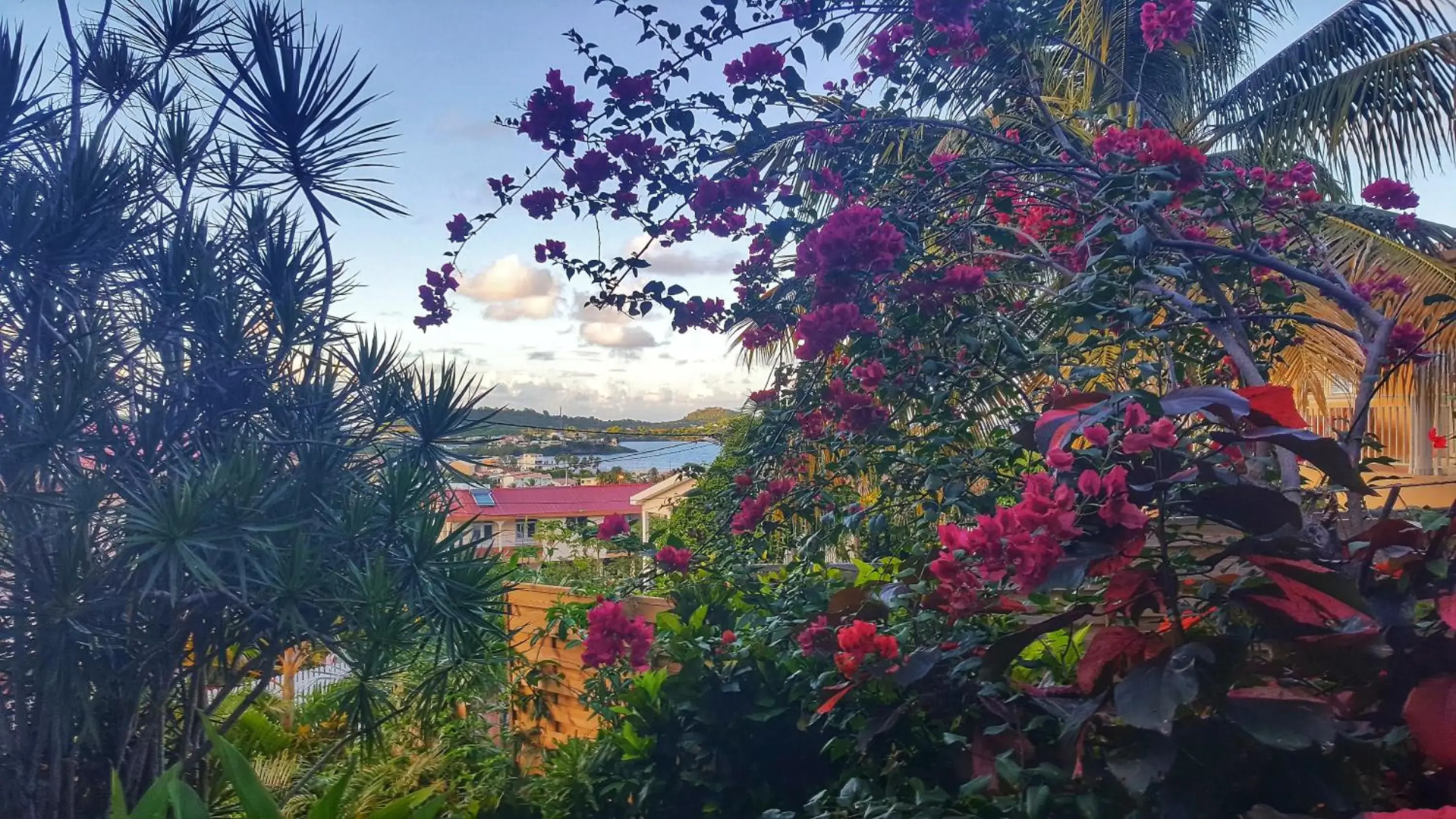 Studio Frangipani dans Villa Fleurs des Iles