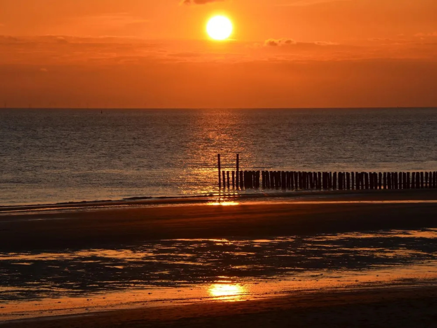 Apartment Near South Beach With Sauna