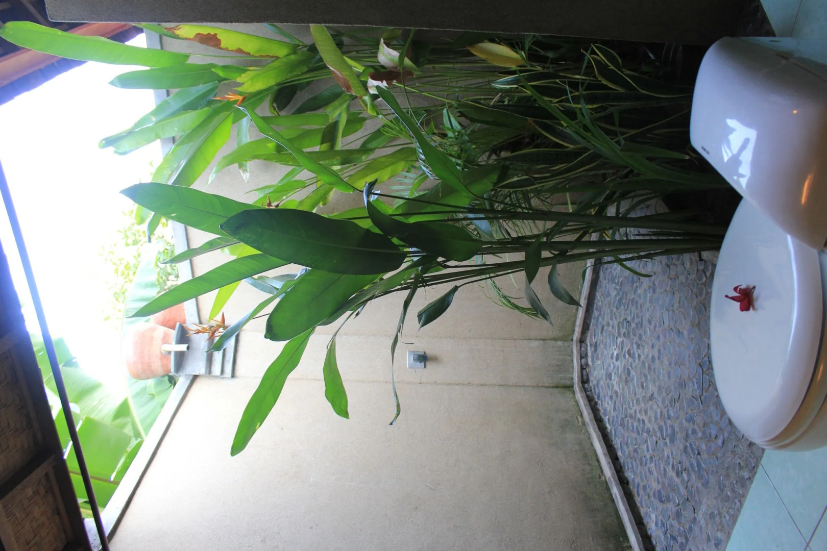 Kubuku Eco Dive Lodge & Yoga