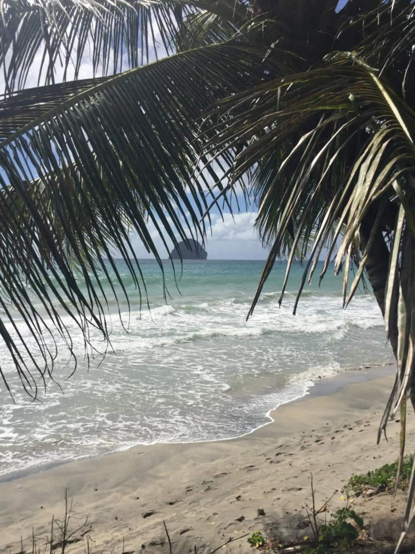 Superbe appartement T2 résidence sécurisée