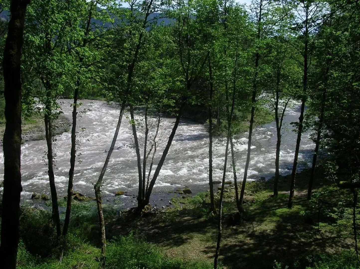 Sandy Salmon Bed & Breakfast Lodge