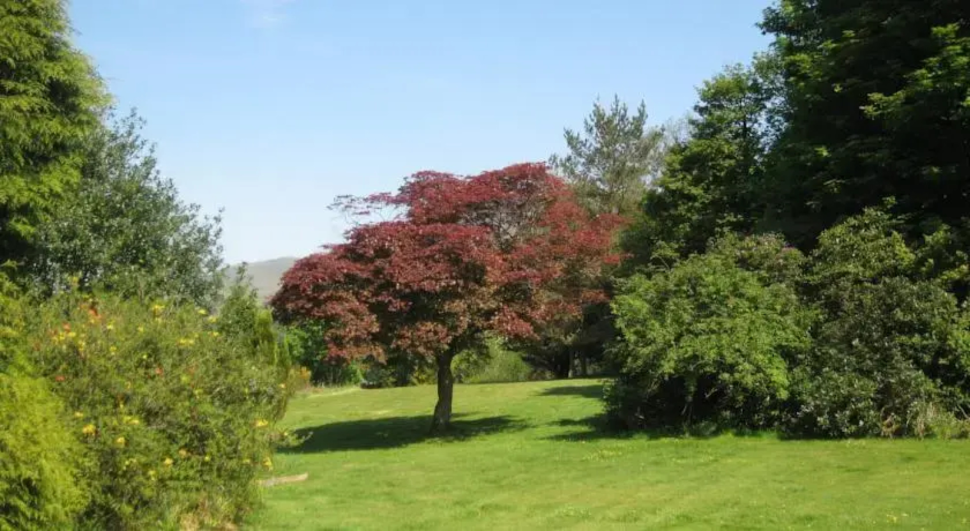 Strathblane Country House Hotel