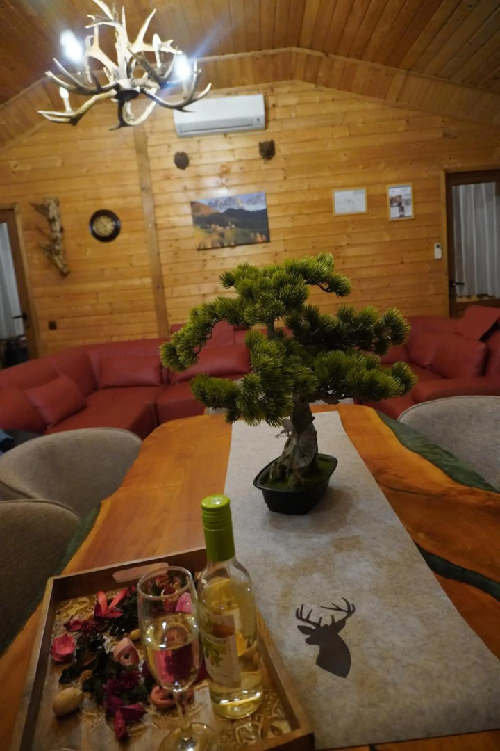 Planinski Polah House