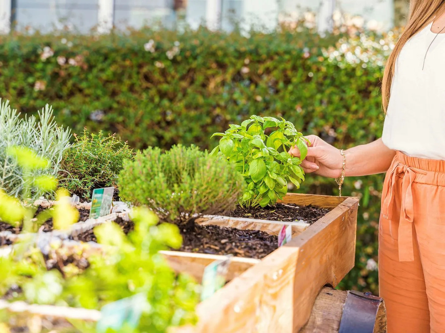 greet Hotel Bordeaux Aeroport
