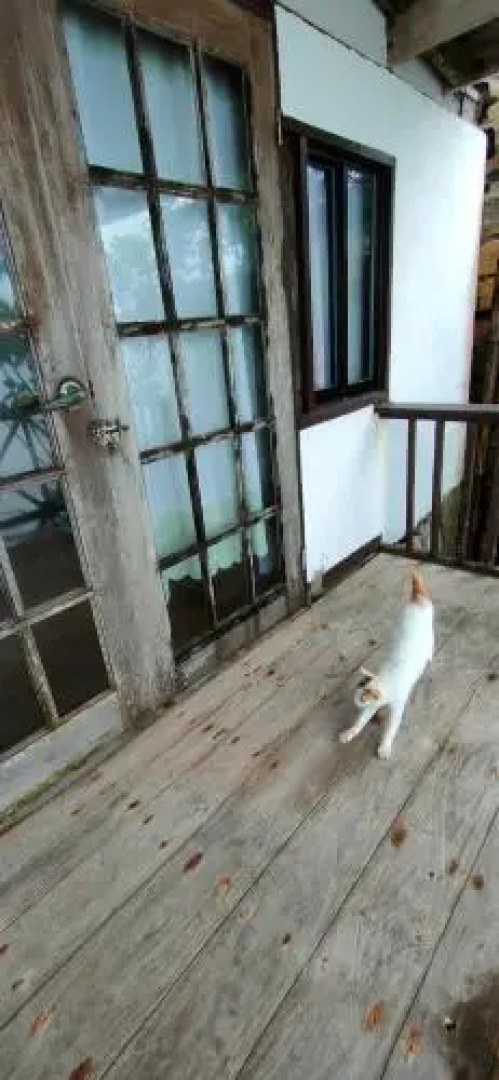 Paseo Del Mar Dive Resort