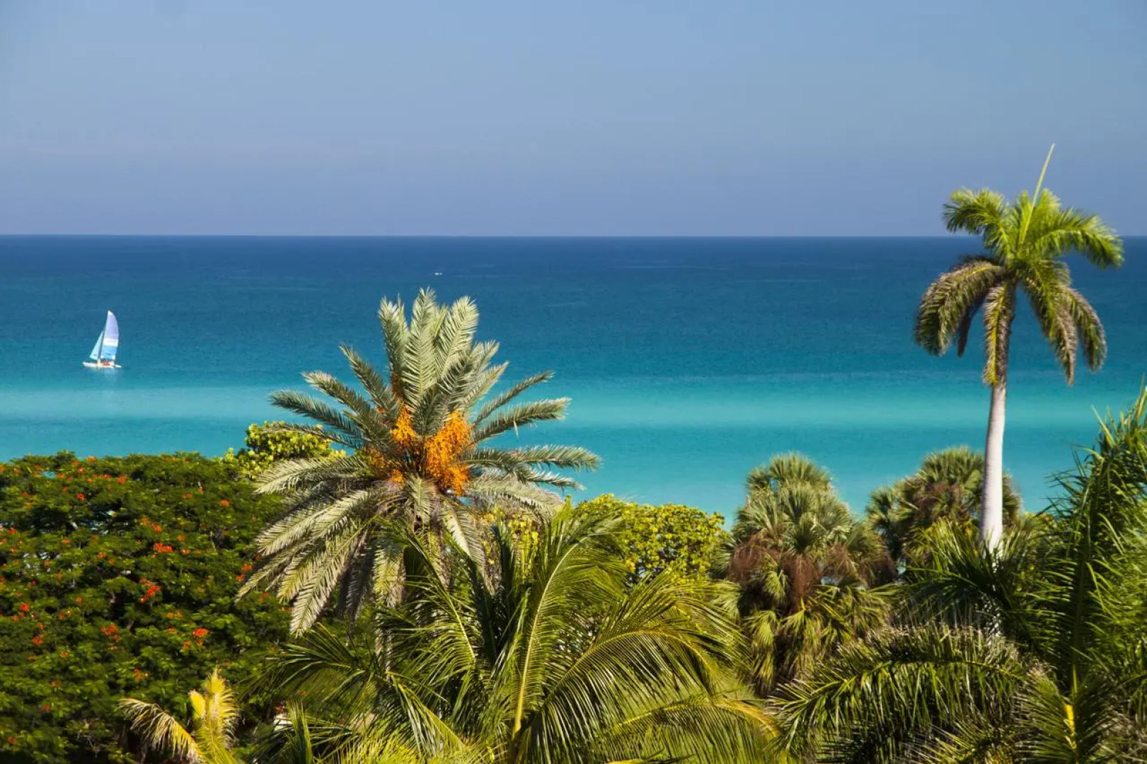 Occidental Arenas Blancas