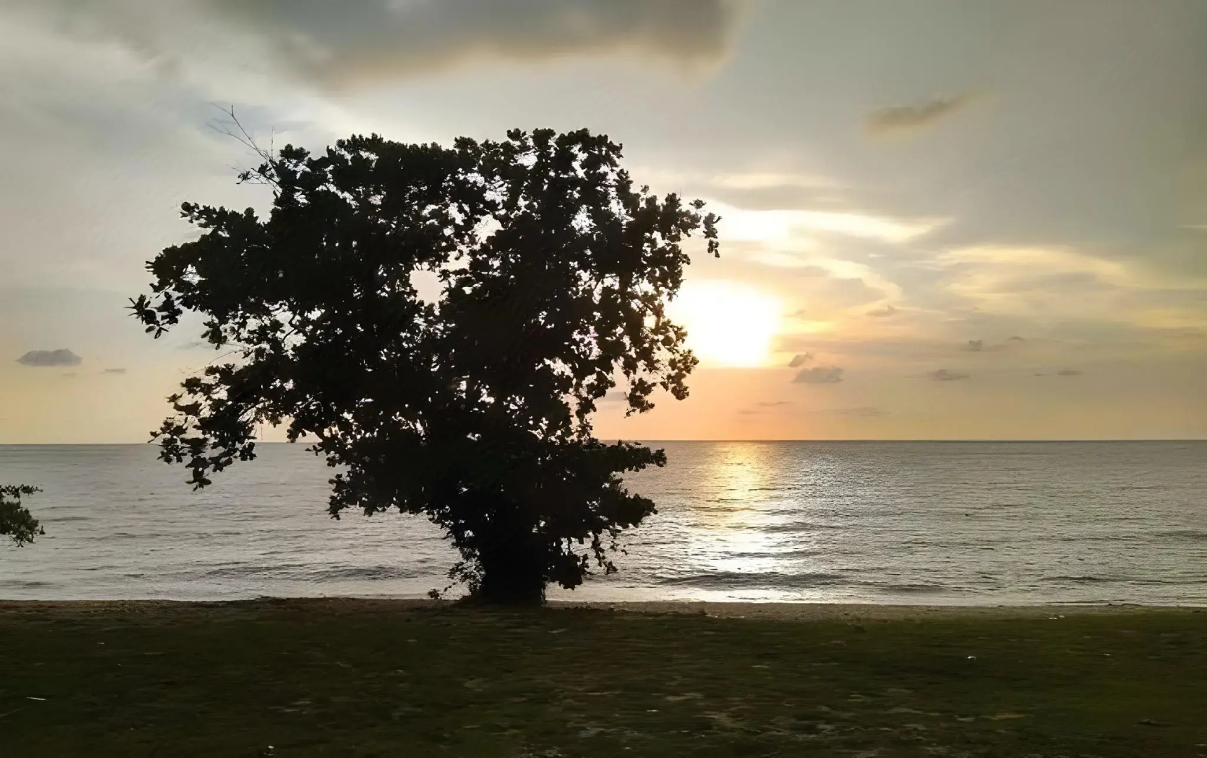 Hornbill Resort Pulau Pangkor