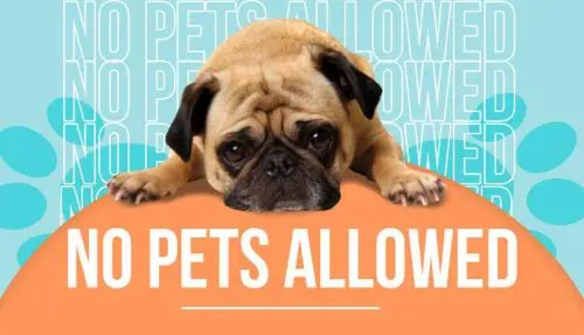 Aqua Shack Jurien Bay